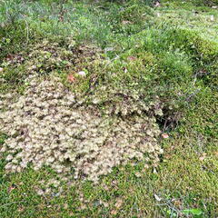 23-04-30 10-32-59 5227